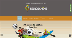 Desktop Screenshot of legroschene.fr